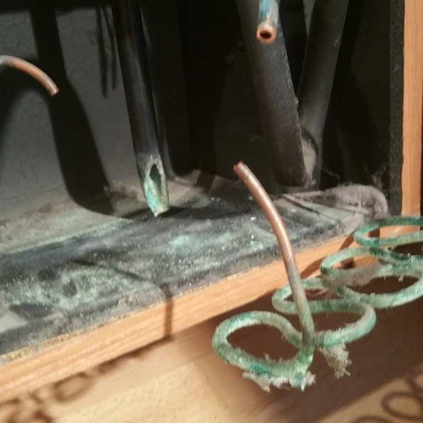 Caveduke status Caveduke status